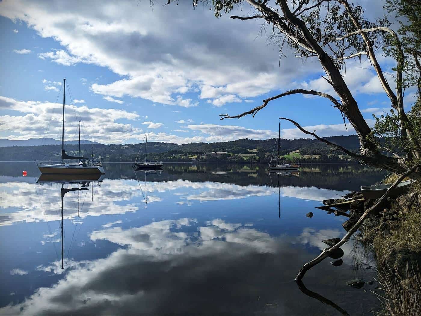 A yacht on a swing mooring on a calm river, reflected in the water beside a gum tree